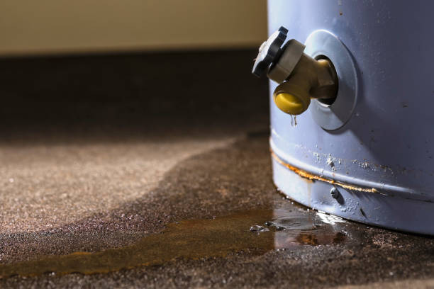 Best 24/7 water damage repair  in Woodland, CA