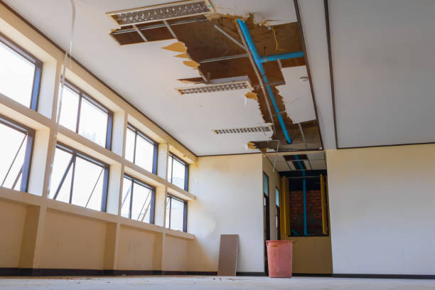 Best Residential water damage restoration  in Woodland, CA