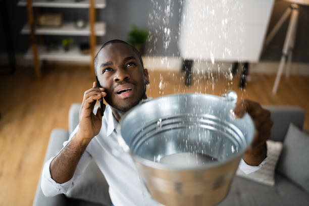 Best Water damage cleanup near me  in Woodland, CA