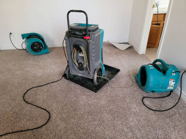 Best Flood damage cleanup  in Woodland, CA