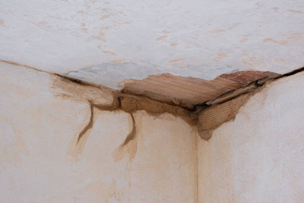 Best Flooded house restoration  in Woodland, CA
