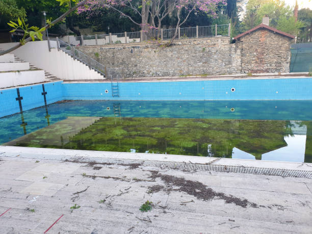 Best Flood restoration services  in Woodland, CA