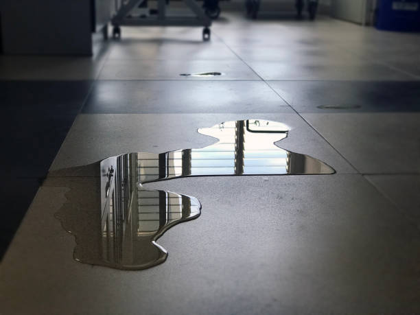 Best Local water damage restoration  in Woodland, CA