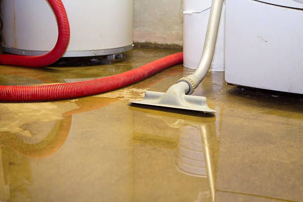  Woodland, CA Water damage restoration Pros